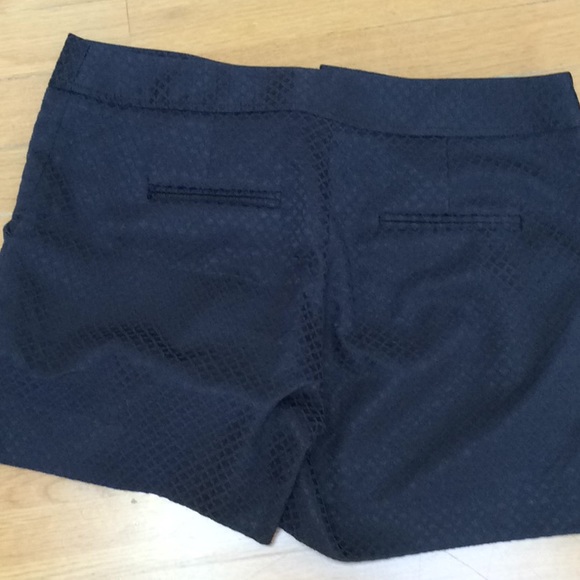 Cache shorts - Picture 4 of 4